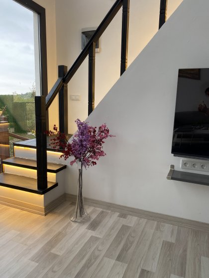 Villa Zambak Select (2176)