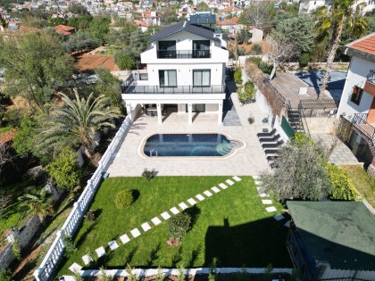 Villa Dolphin (2053)