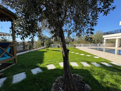 Villa Dolphin (2053)
