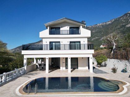 Villa Dolphin (2053)
